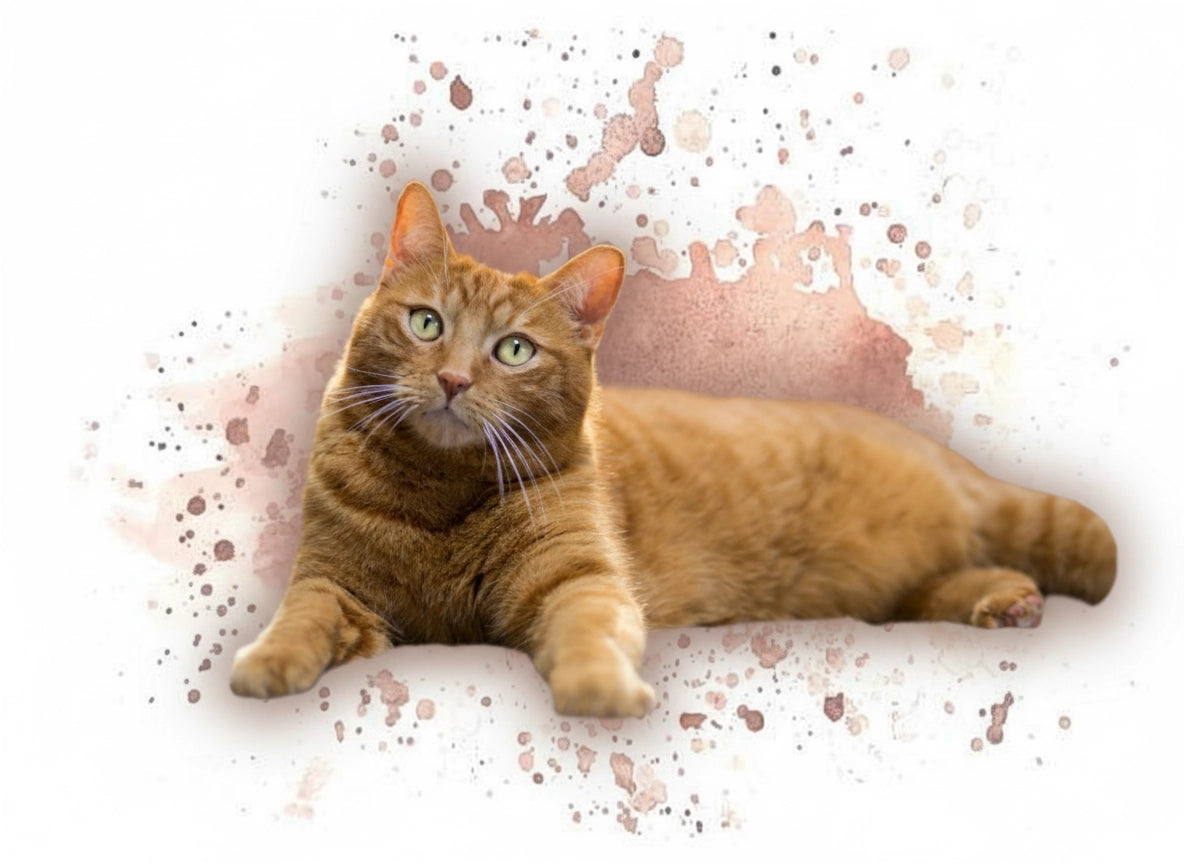 Personalised Cat Watercolour Portrait